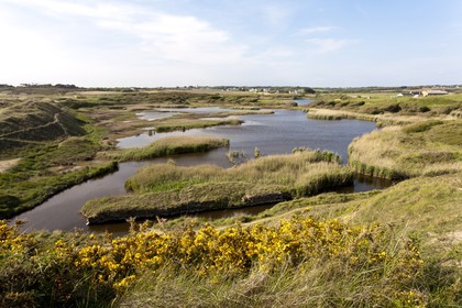 Etang du Loch - Guidel