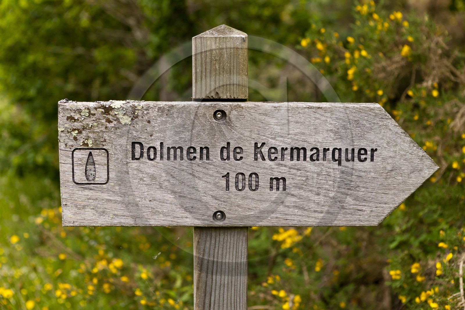 LE DOLMEN DE KERMARQUER
