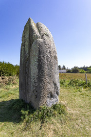 Le menhir de Kermaillard à Sarzeau