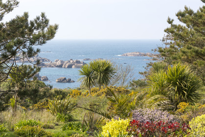 Panorama sur la côte de Tregastel