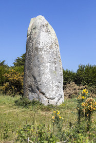 Le menhir de Kermaillard à Sarzeau