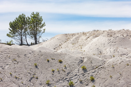 Gisement d'argile blanche et espace naturel_Les Kaolins_Ploemeur_Morbihan_France