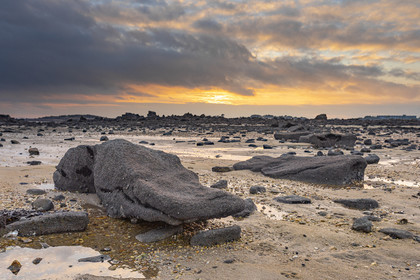 Alignements de Kerdual _ la Trinité sur Mer