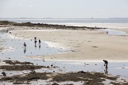 Peche a pied _ plage du men du