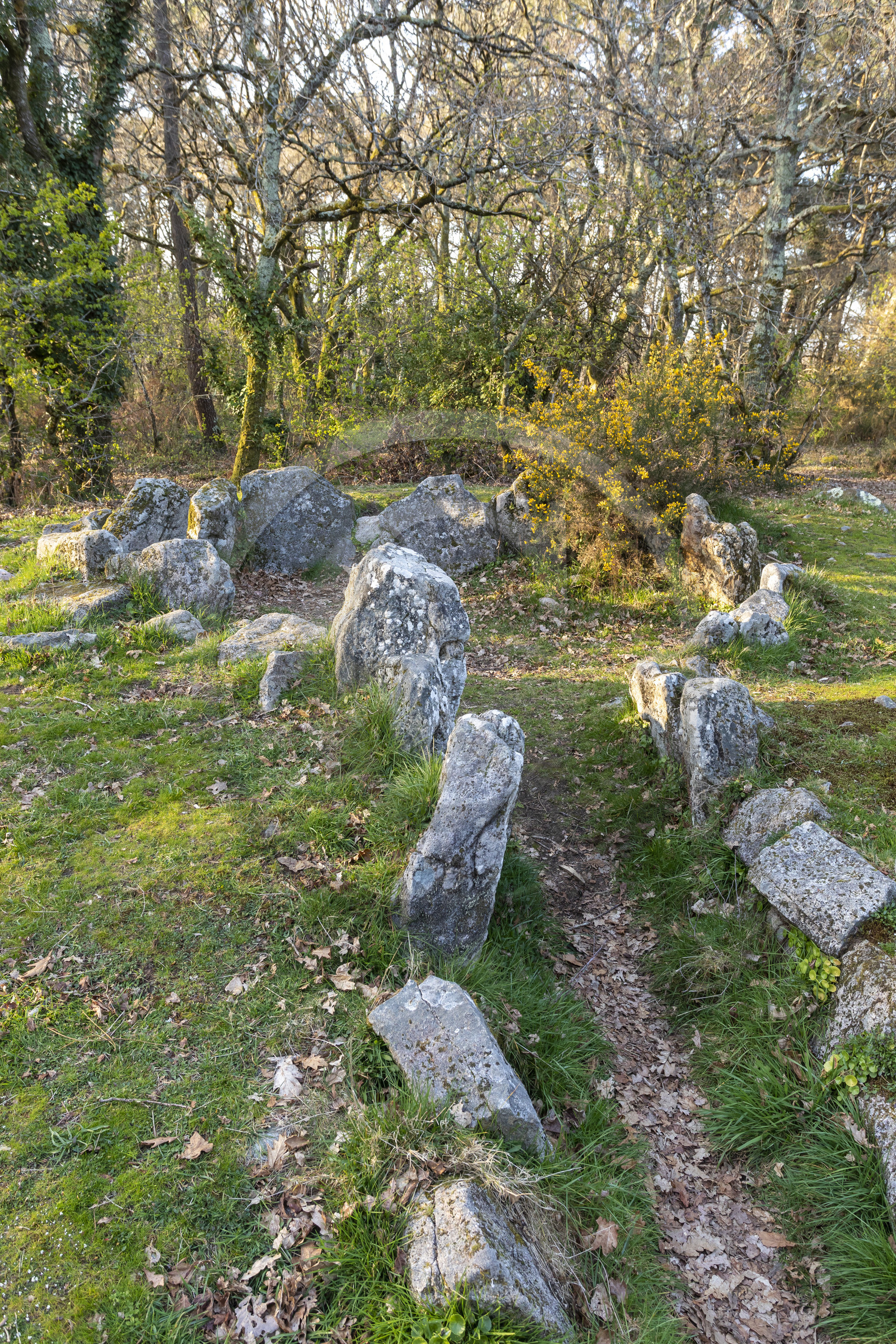 Le site mégalithiques de Mané Bogad à Ploemel