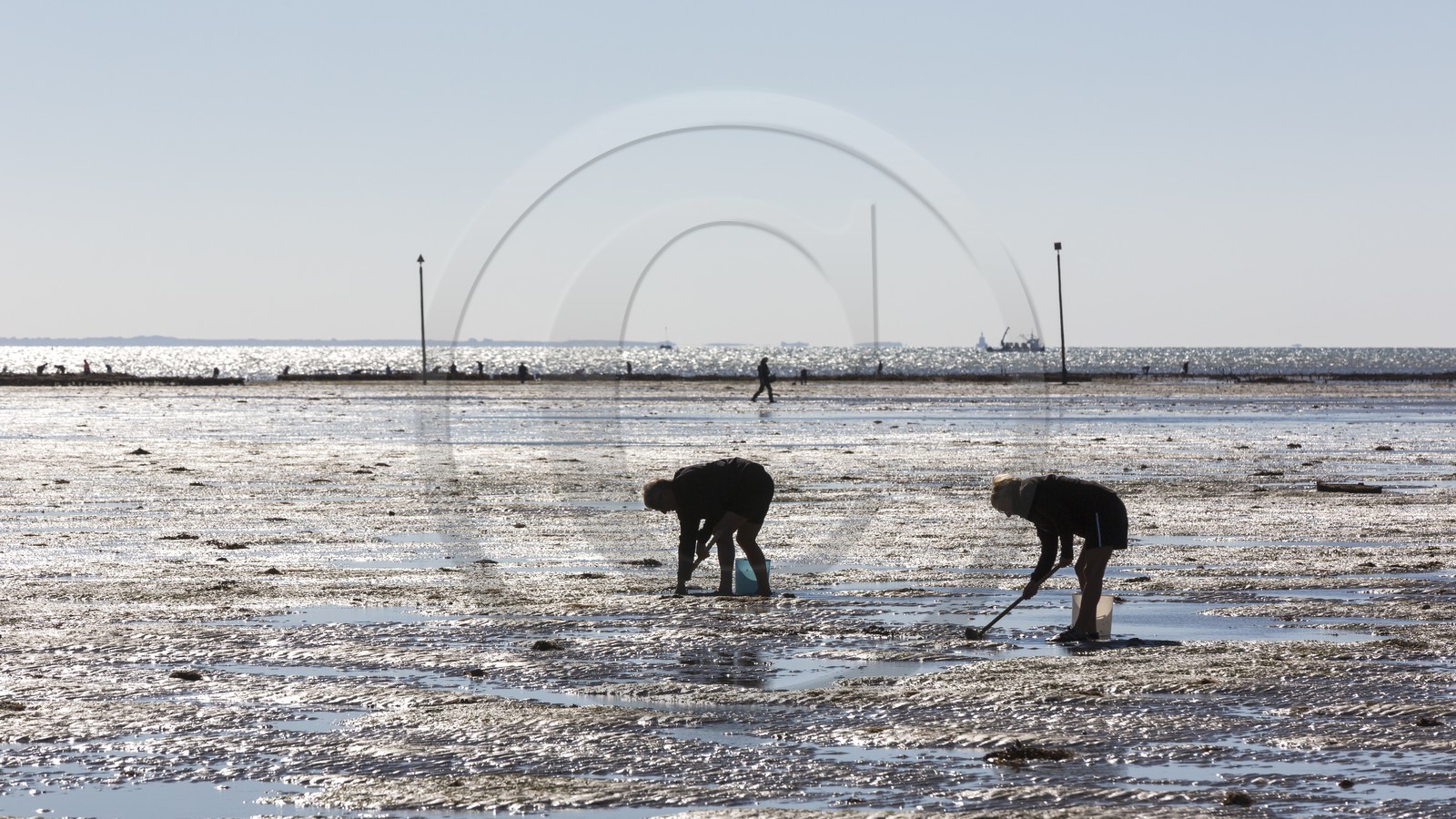 Pêche à pied_Plouharnel