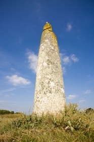 Quenouille Ste Brigitte. Locoal Mendon_Morbihan