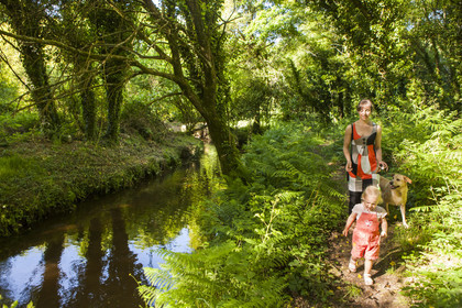 Le ruisseau le Rion sur la commune de Brandérion