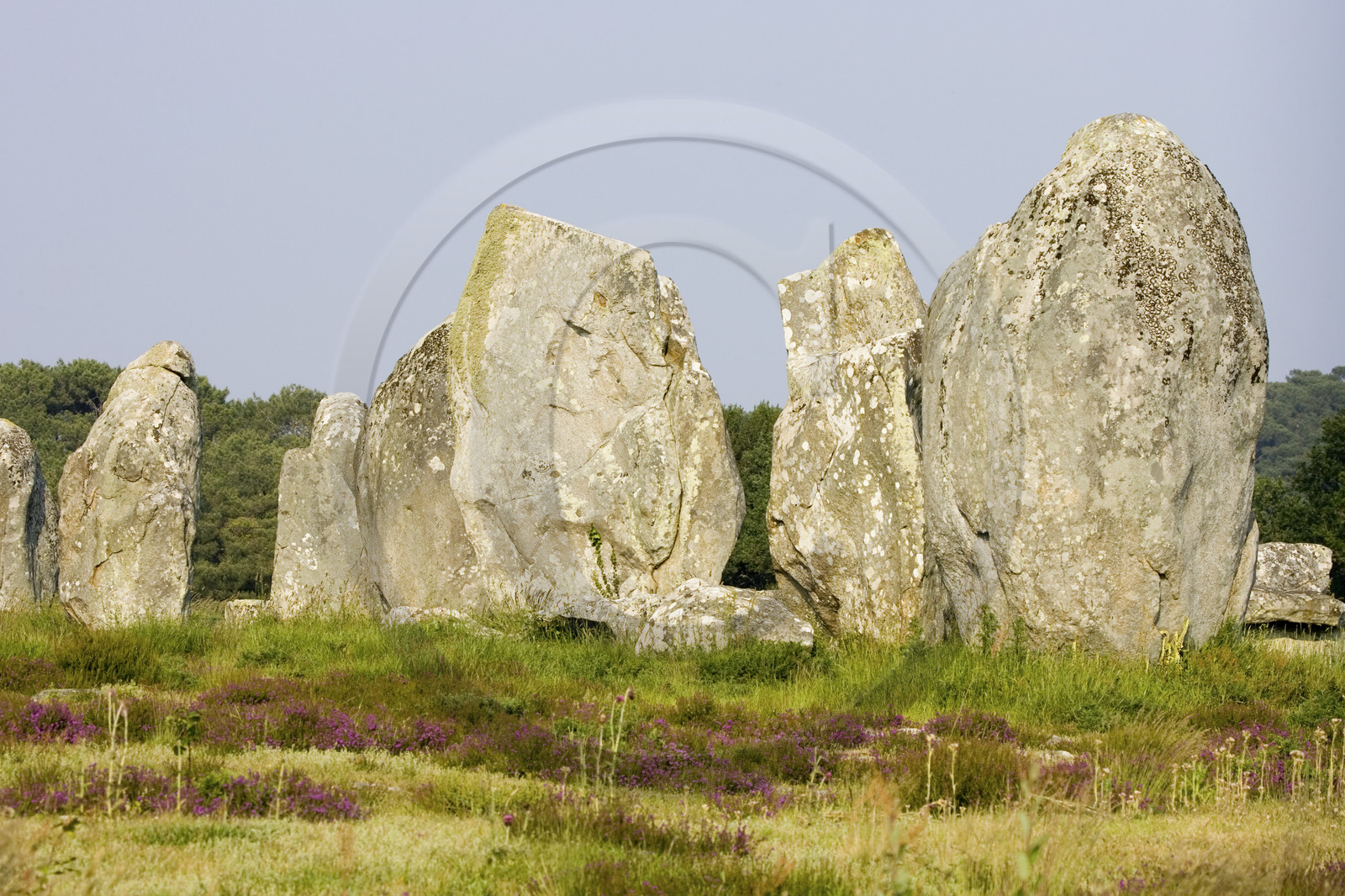 Alignements de Menhirs du Ménec à Carnac
