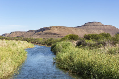 Cederberg _ Afrique du Sud