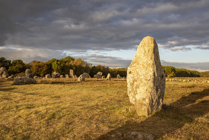 Les alignements du Ménec à Carnac