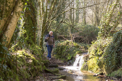 Randonnée à Quistinic