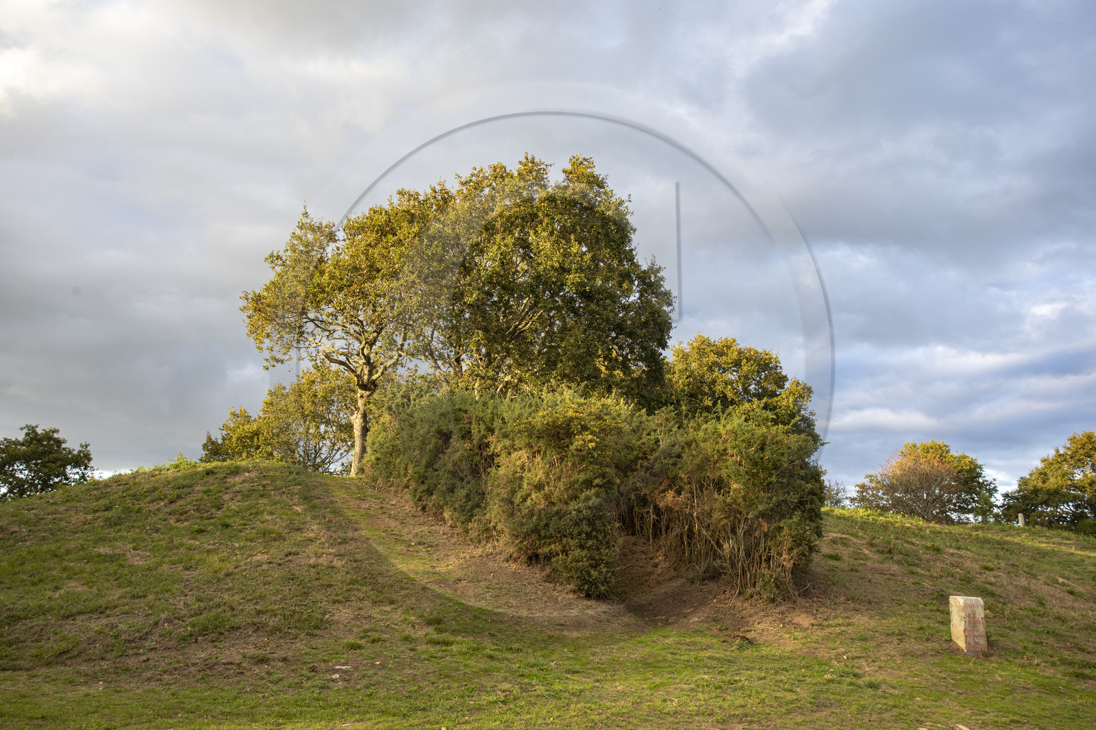 Le tumulus du Moustoir à Carnac