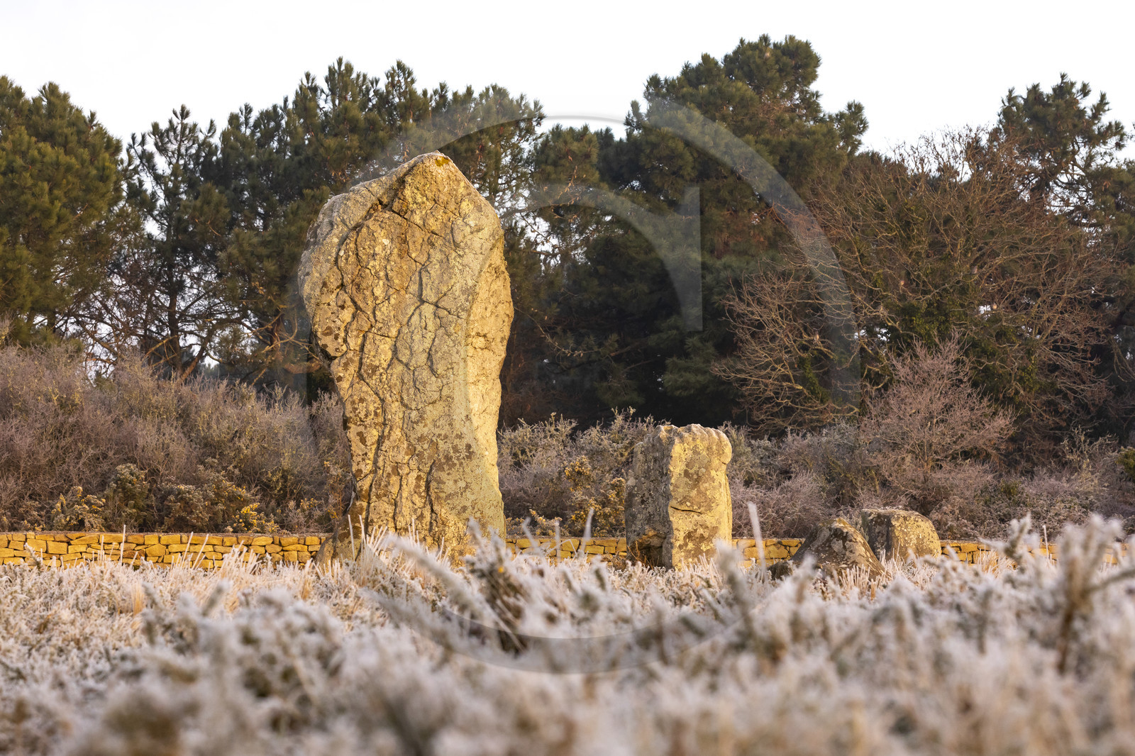 Les alignements du Ménec à Carnac