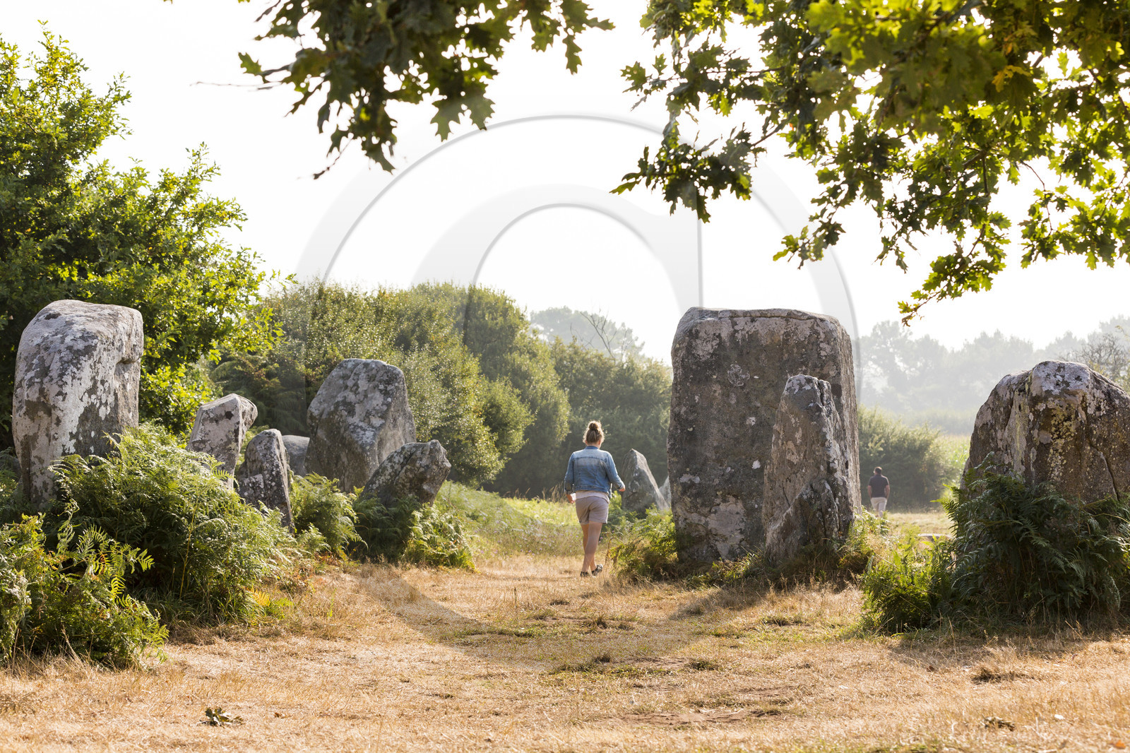 Alignements de Kerzerho _ Erdeven