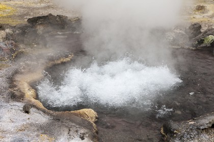 Furnas_source d'eau chaude