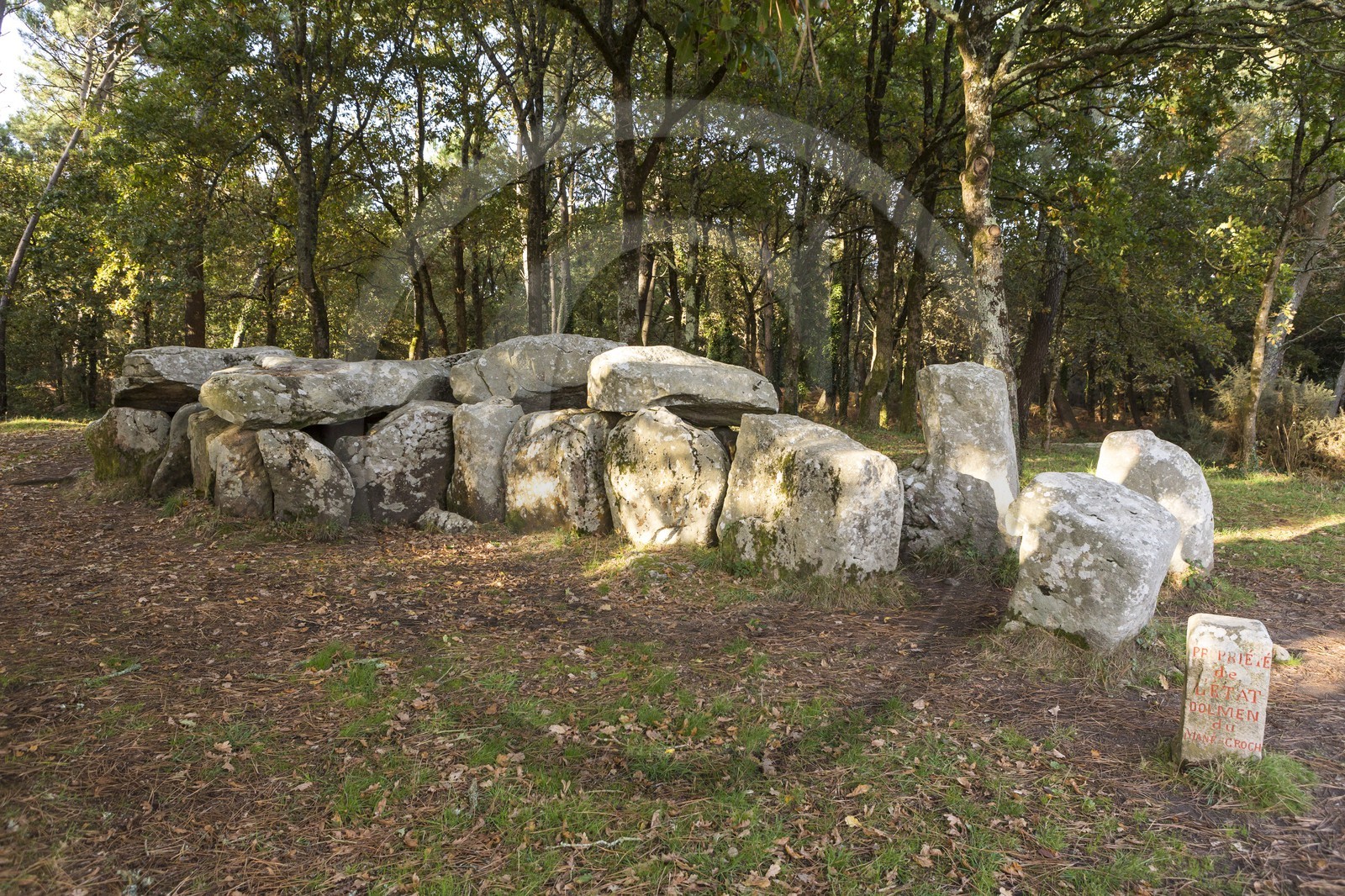 Le dolmen de Mané Groh _ Erdeven