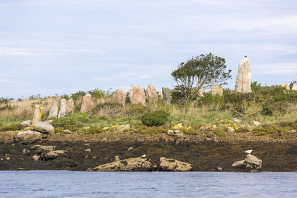 Er Lannic dans le golfe du Morbihan à Arzon