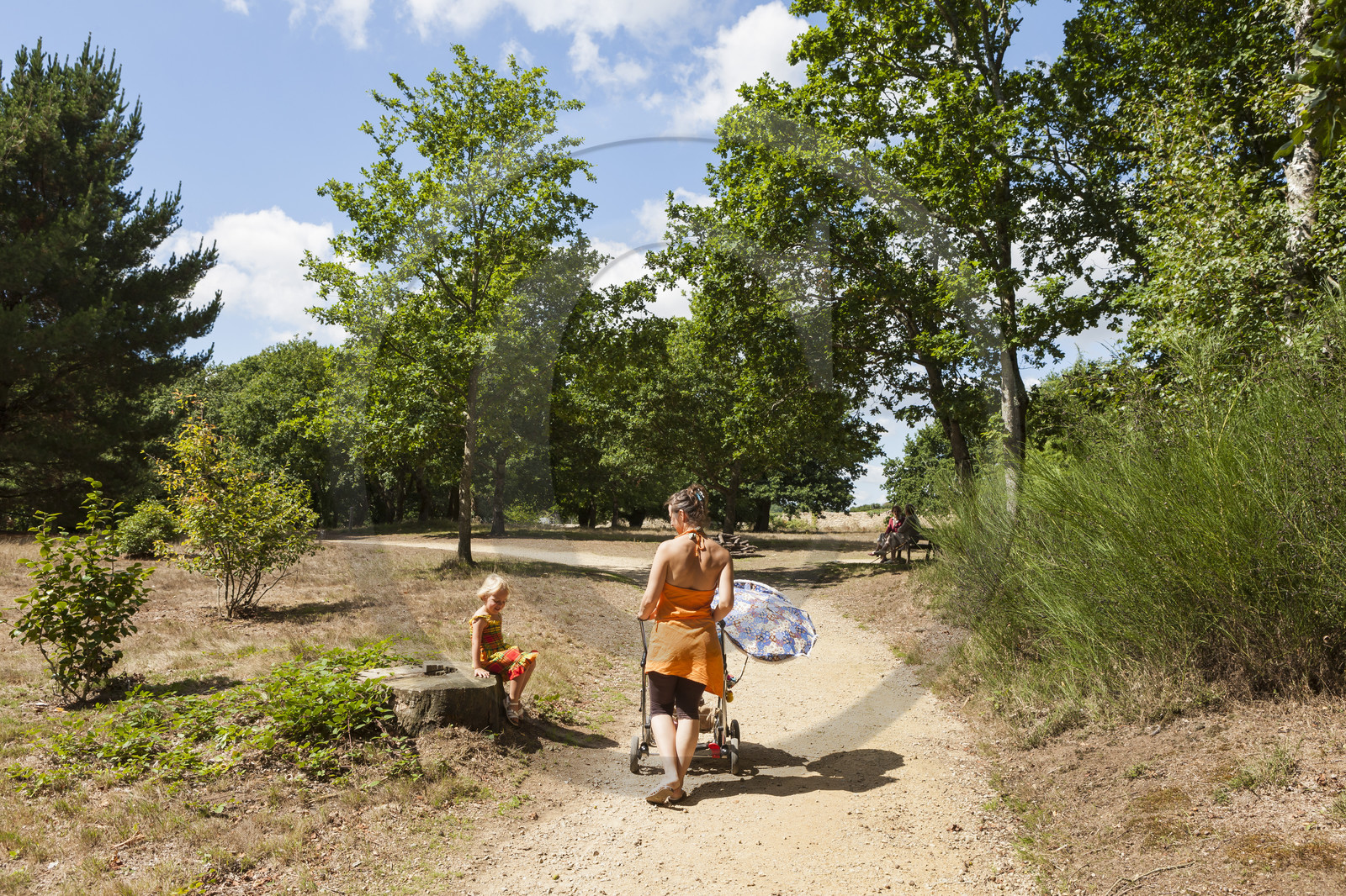 Parc du chateau du diable_Caudan