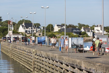 Le mole Loic Caradec