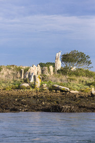Er Lannic dans le golfe du Morbihan à Arzon