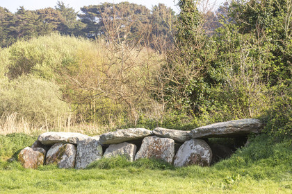 L'allée couverte de Kerguntuil à Trégastel.