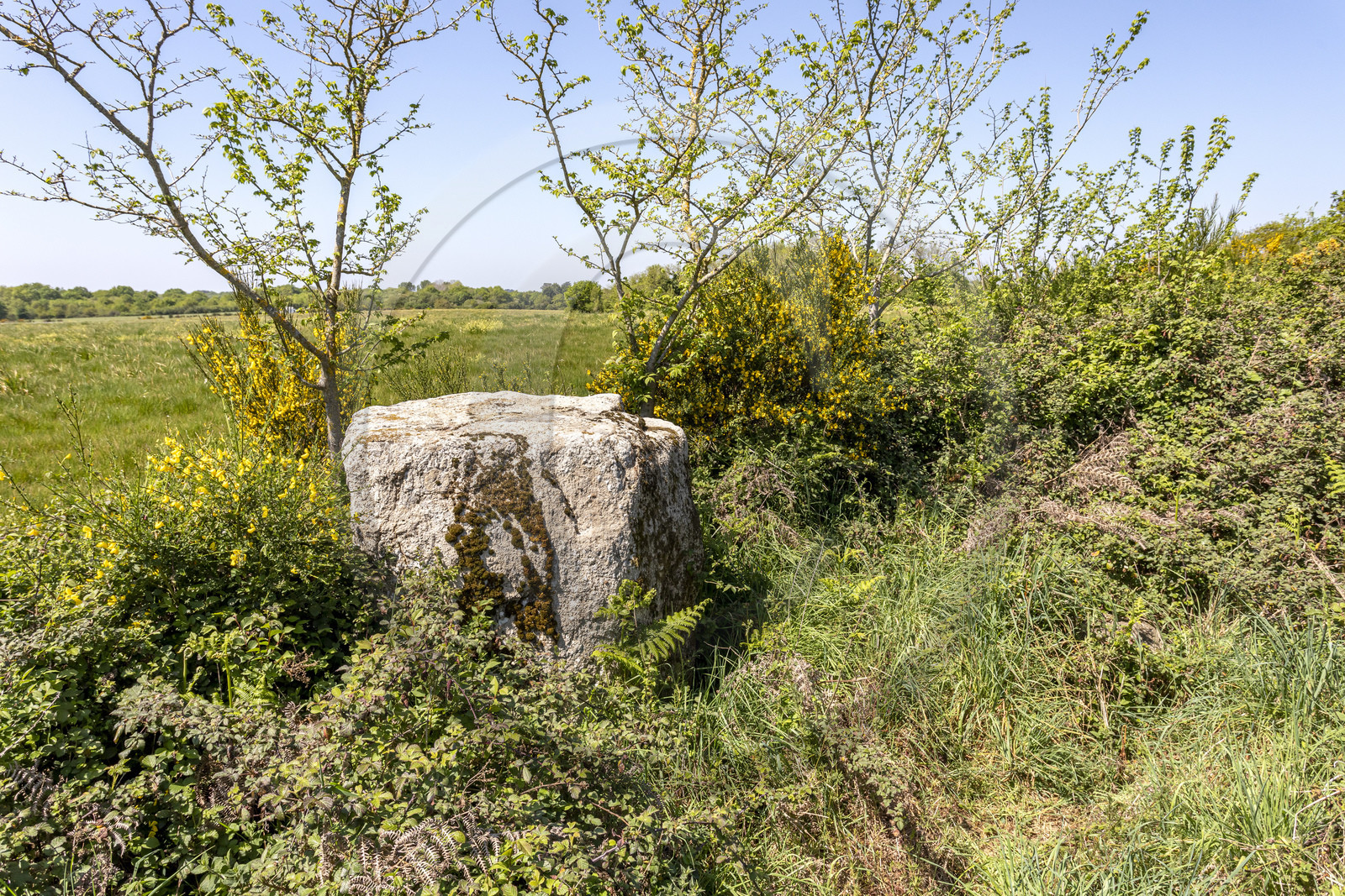 Menhir de Kerbigot à Sarzeau