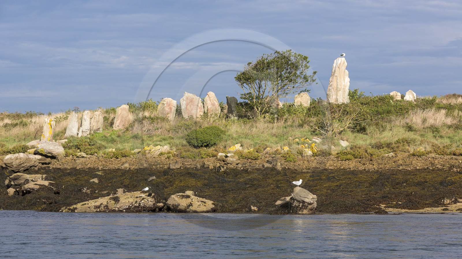 Er Lannic dans le golfe du Morbihan à Arzon