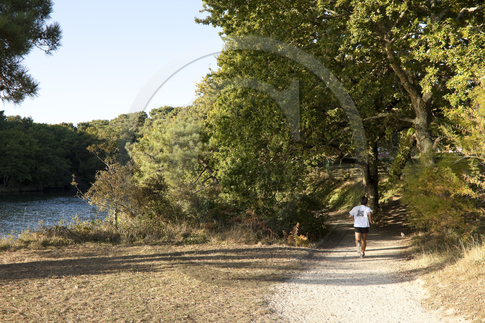 étang du Ter à Ploemeur. Morbihan_France
