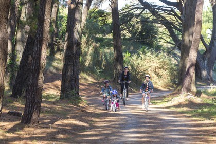 La voie verte à Plouharnel.