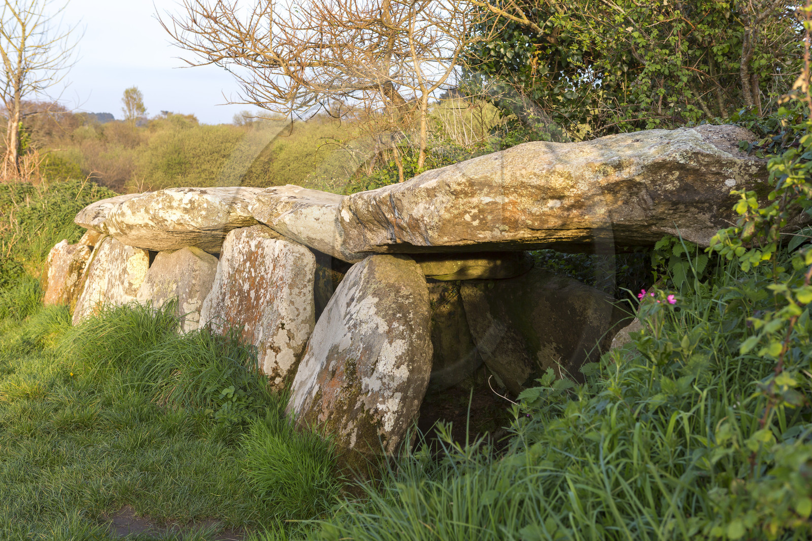 L'allée couverte de Kerguntuil à Trégastel.
