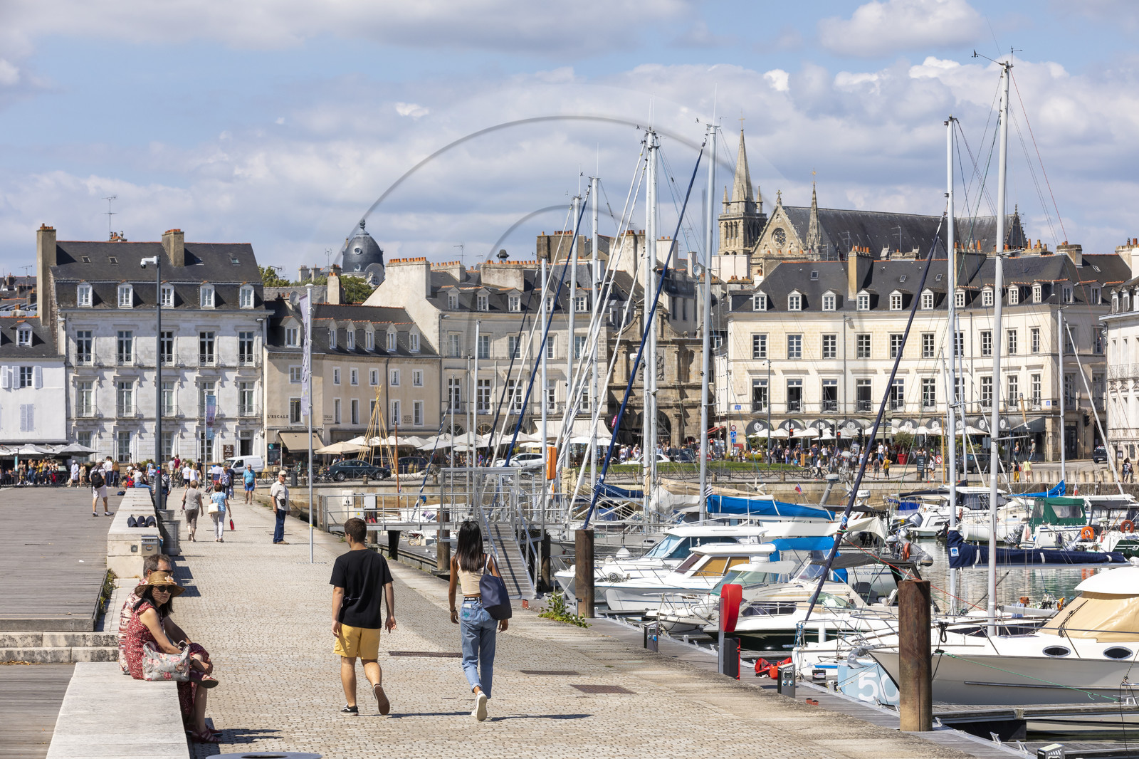 Le port de Vannes
