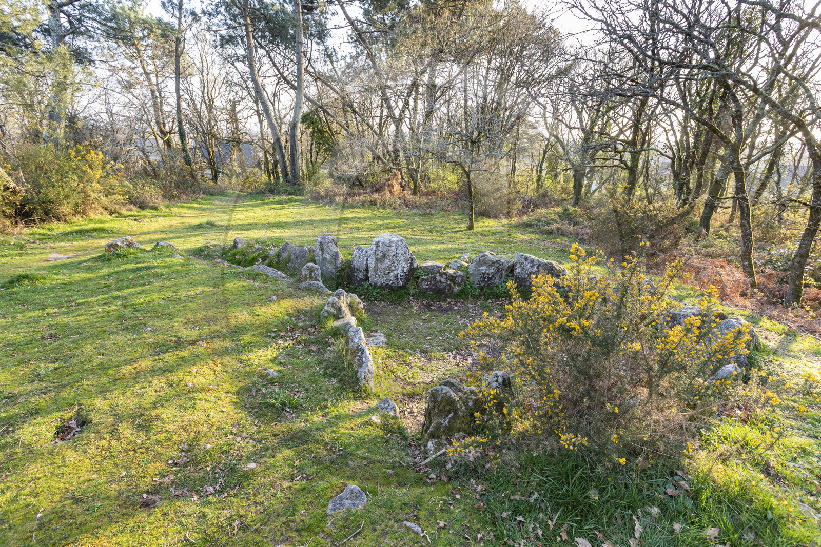 Le site mégalithiques de Mané Bogad à Ploemel