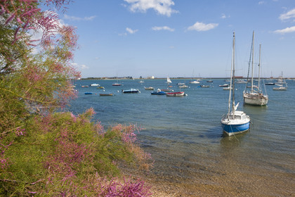 Port de Locmalo _ Port-Louis