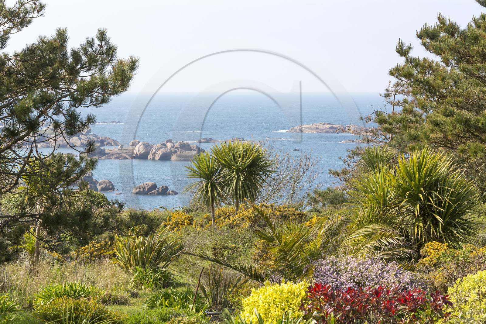 Panorama sur la côte de Tregastel