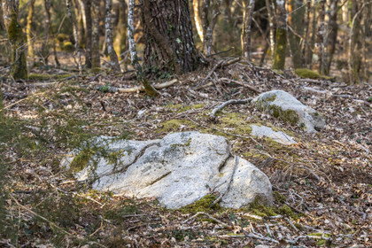Le site mégalithique Le Castellic à Carnac