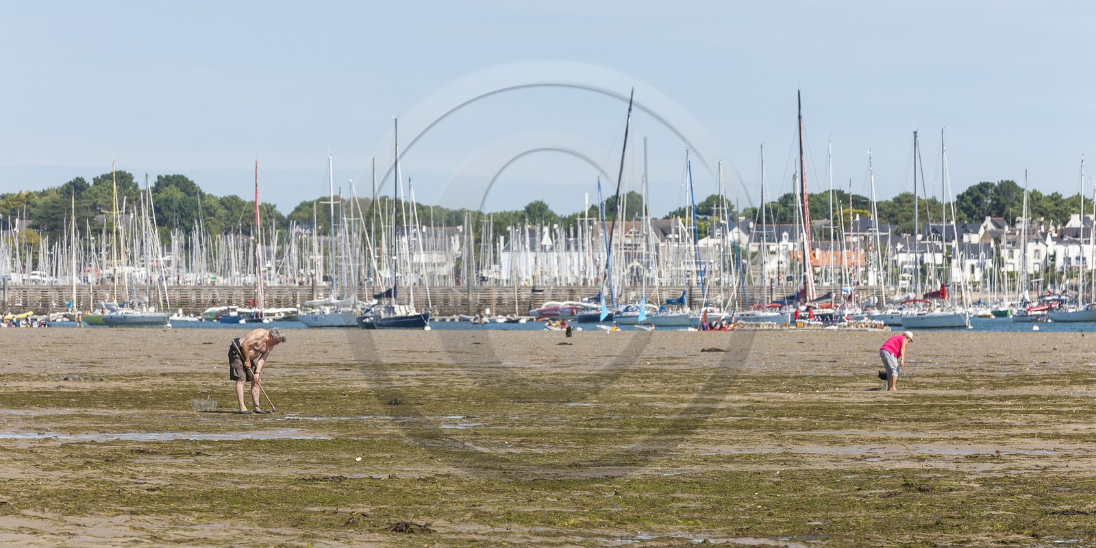 La plage du port _ la Trinite sur Mer