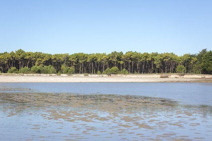 La plages des sables blancs à Plouharnel