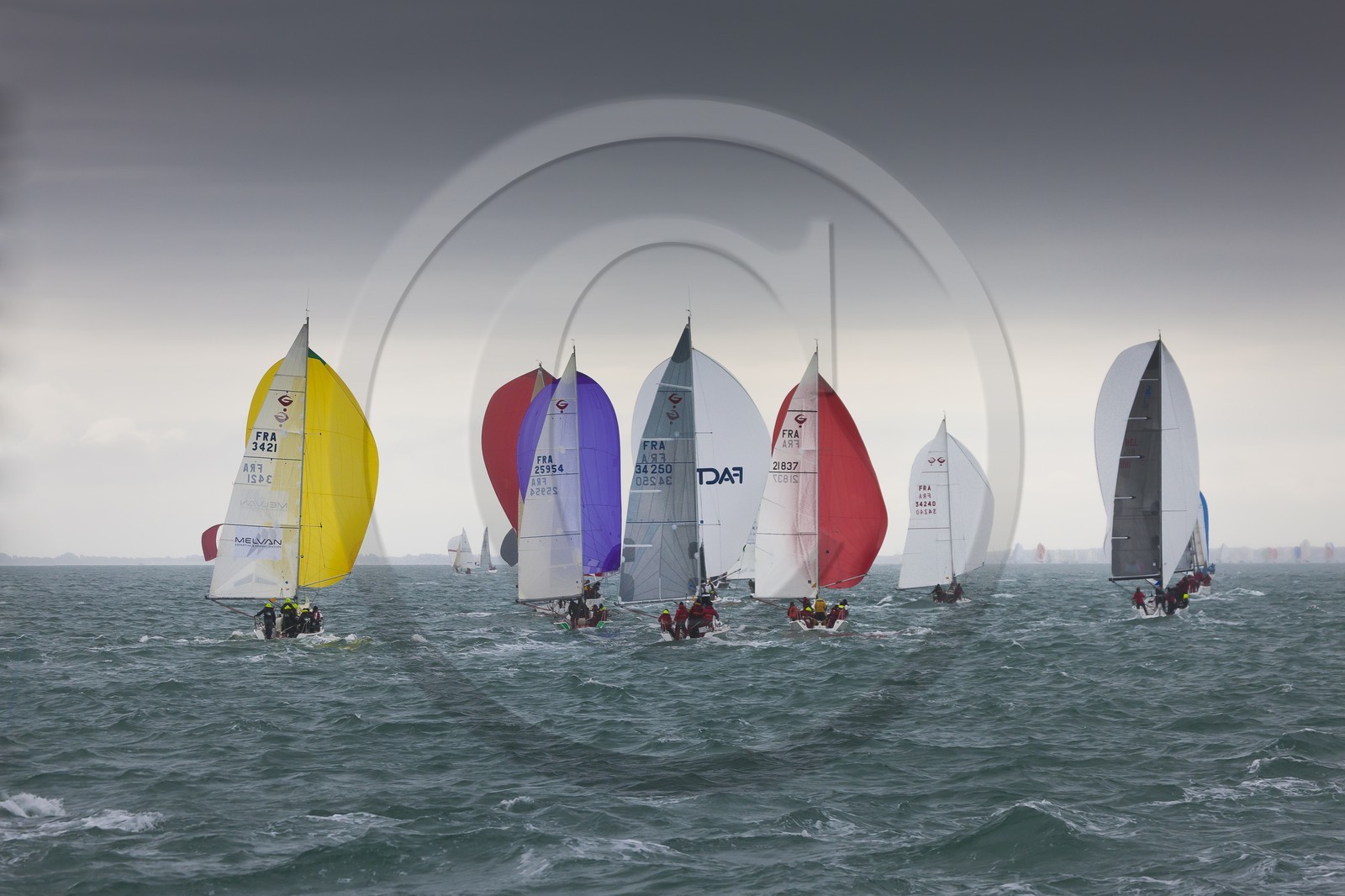 Spi Ouest-France _ La Trinite-sur-Mer