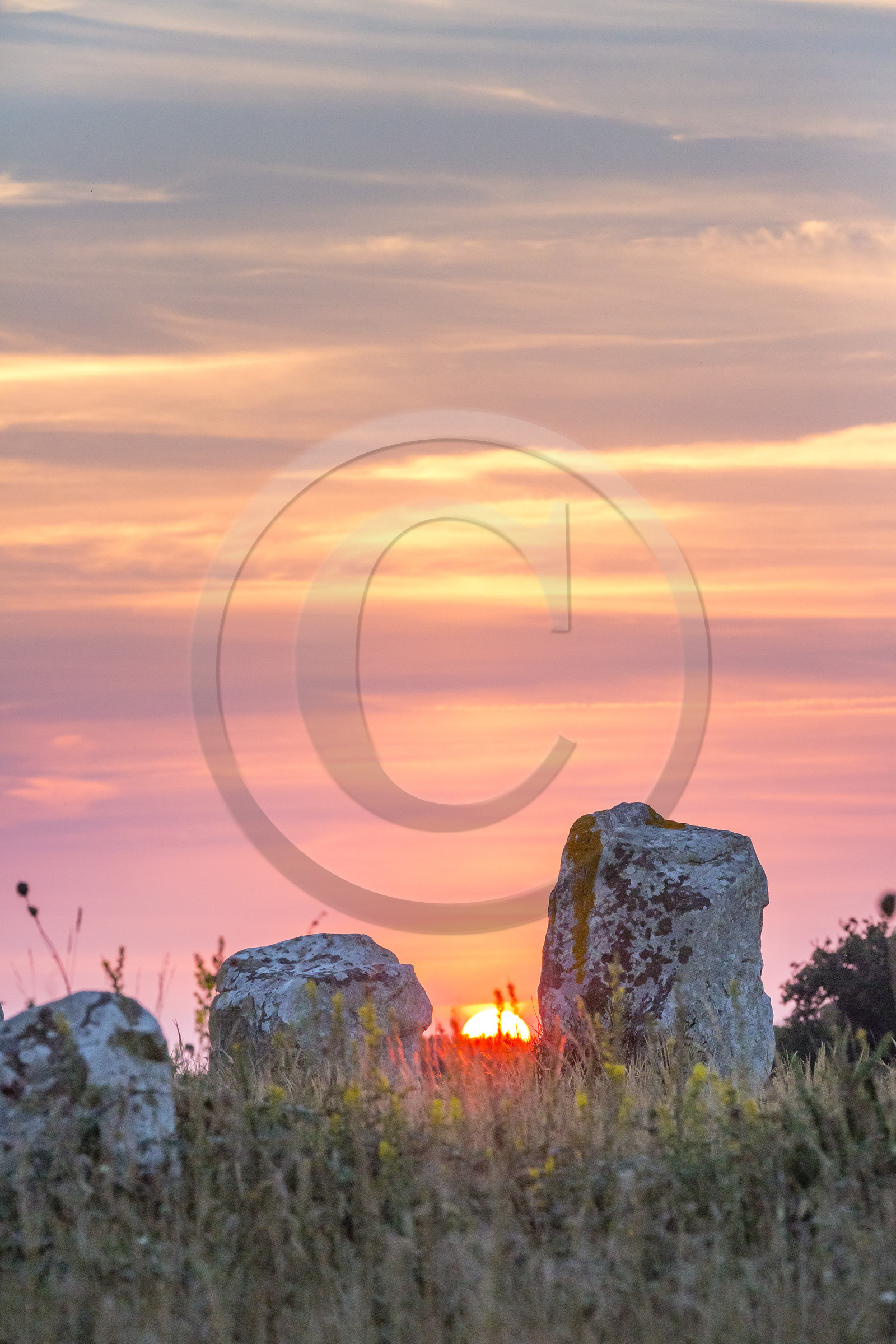 Les alignements de Kermario _ Carnac
