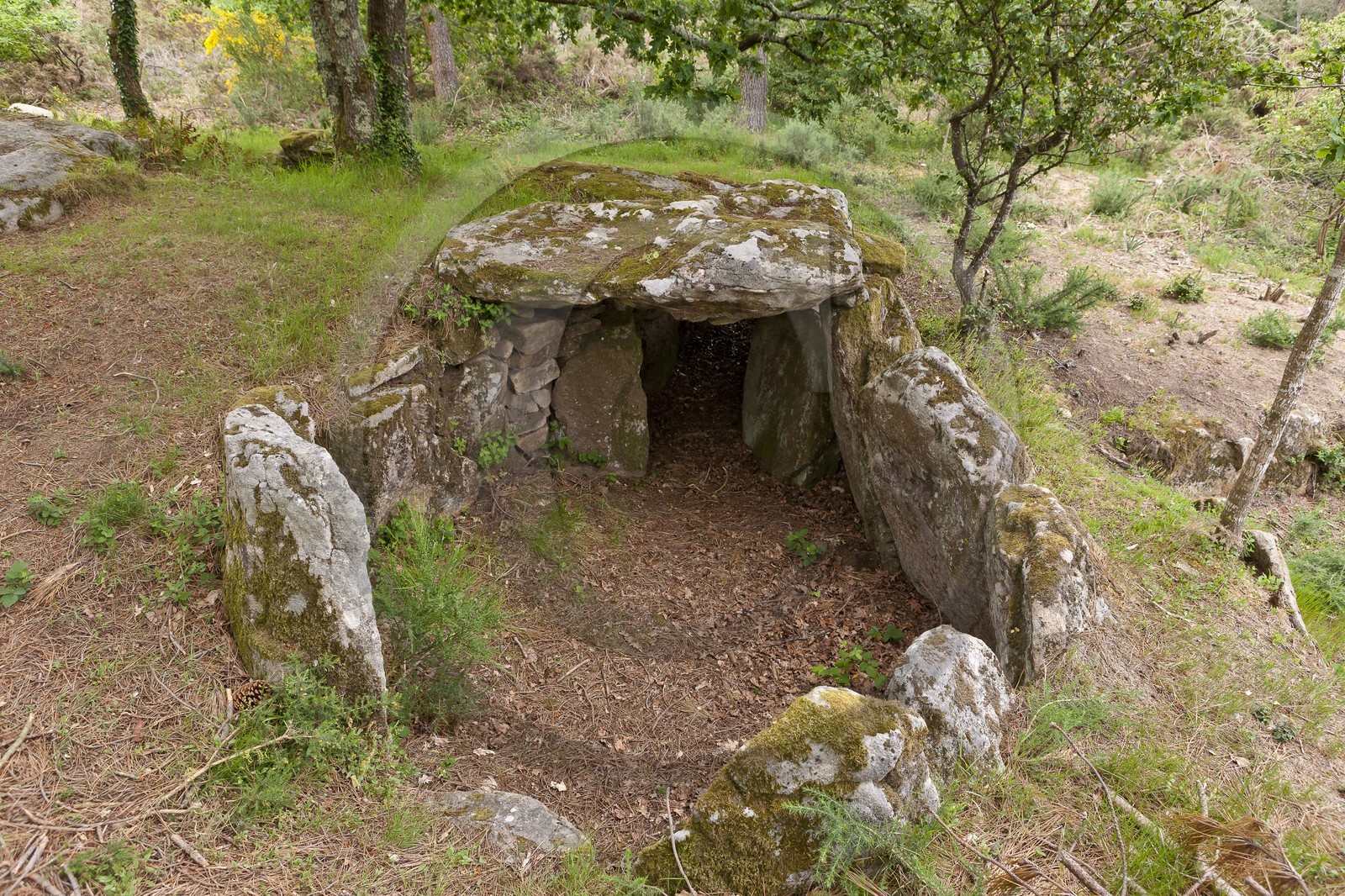 Le dolmen de Mane Bras _ la Trinite sur mer.