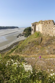 Le château du Guildo