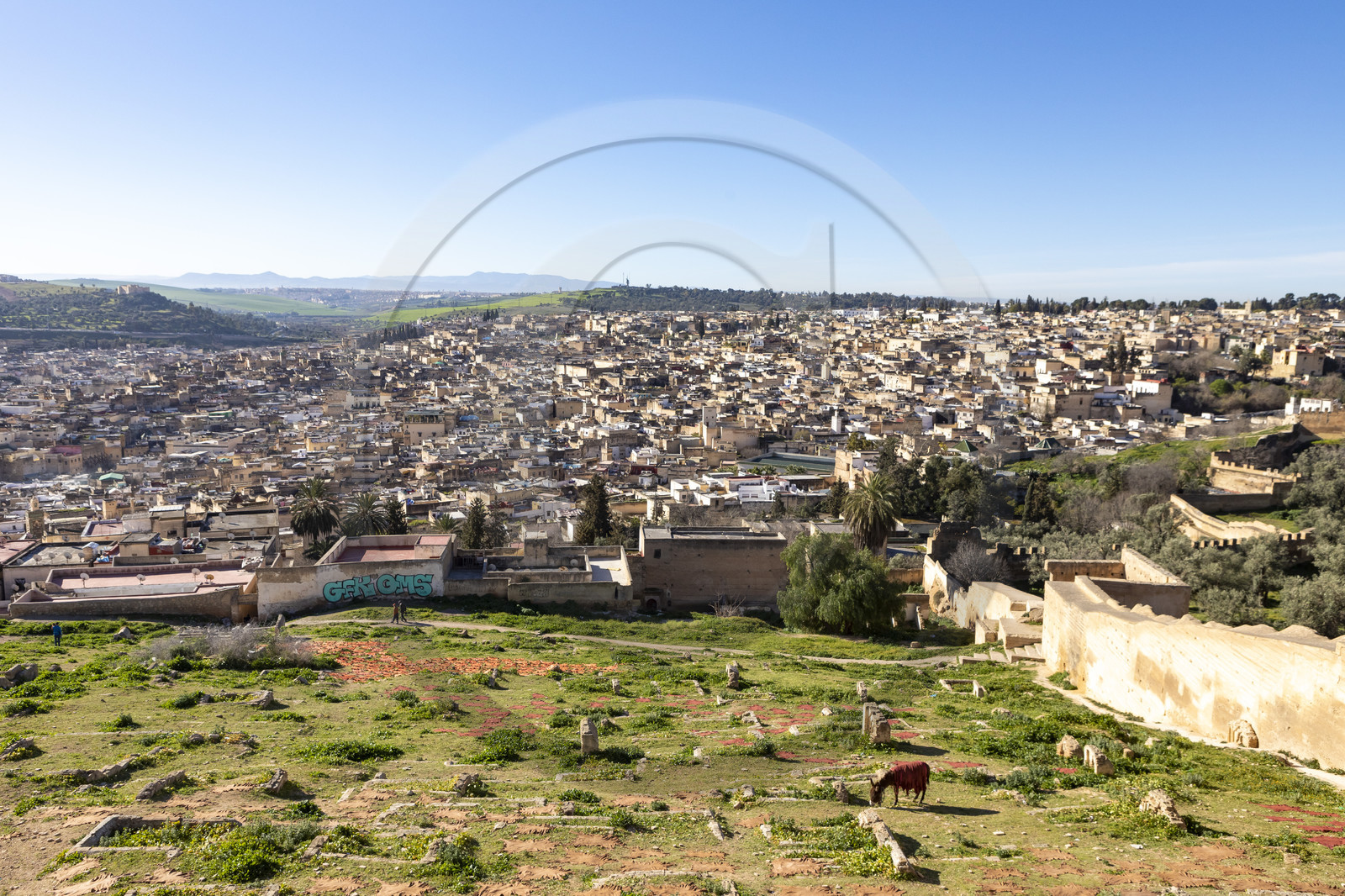 Vue sur la Médina de Fès au Maroc