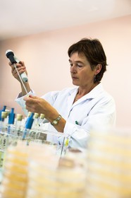 LDA MORBIHAN_ St Ave