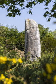 Le menhir de Kermaillard à Sarzeau