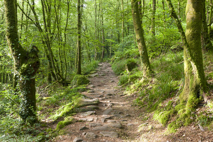 20080625_le Faouet_011