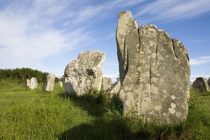 Alignement de Menhirs de Kerzerho à Erdeven (56410).