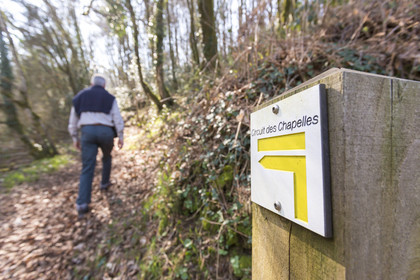 Randonnée à Quistinic