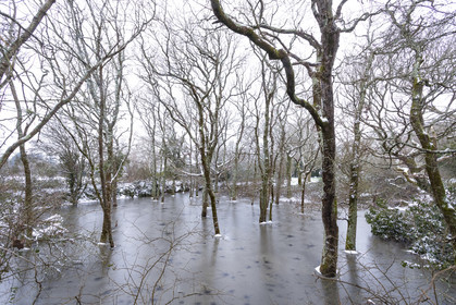 Alignements de Kerzerho _ Erdeven