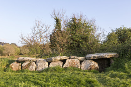 L'allée couverte de Kerguntuil à Trégastel.